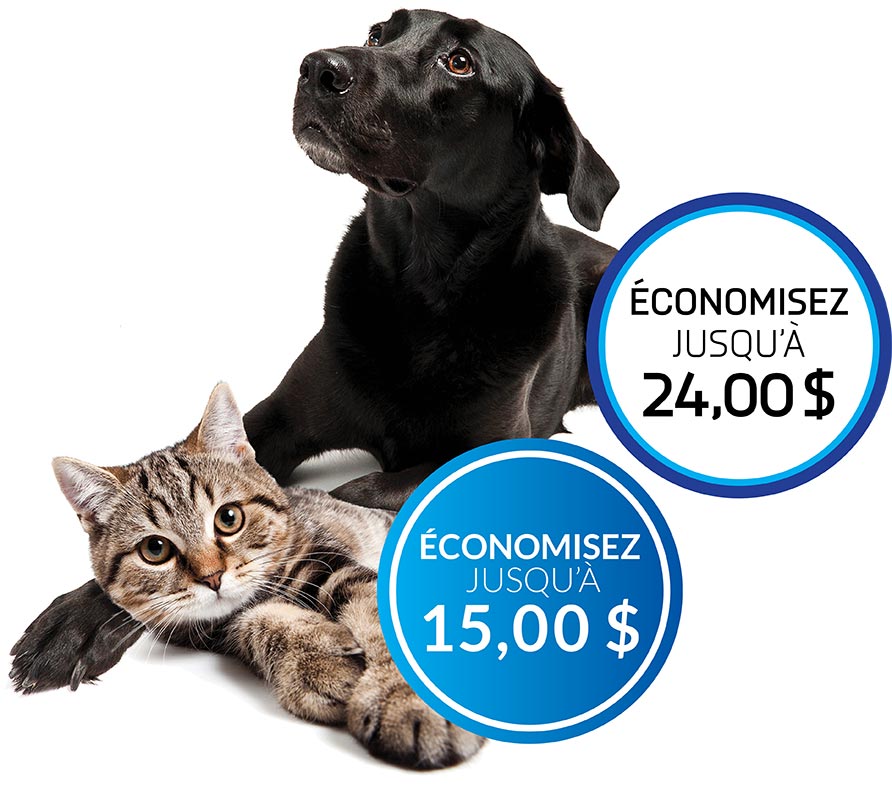 Image. Un labrador retriever noir est couché, la tête haute. Un chat brun à poils courts est couché en avant-plan, le regard tourné vers l'avant. Une bulle d'offre bleue et blanche se trouve à côté de chaque animal.