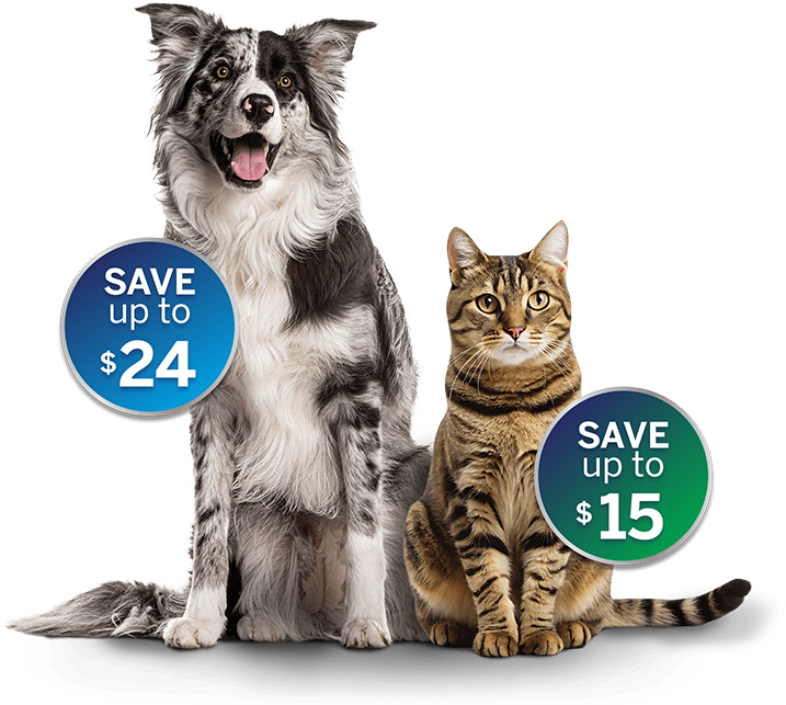 NexGard Spectra | NexGard Combo