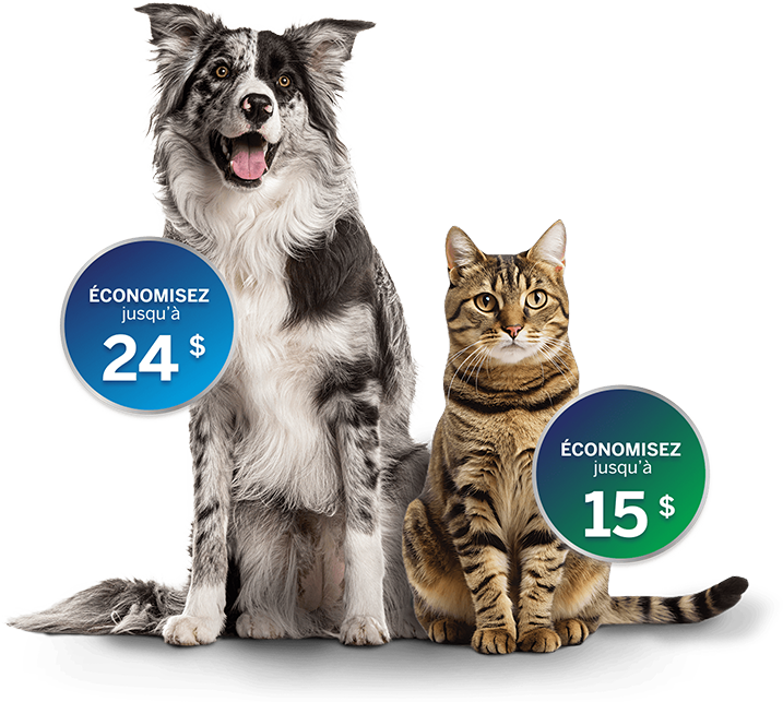 NexGard Spectra | NexGard Combo